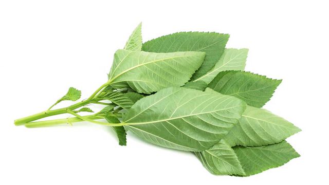 صورة المنتج