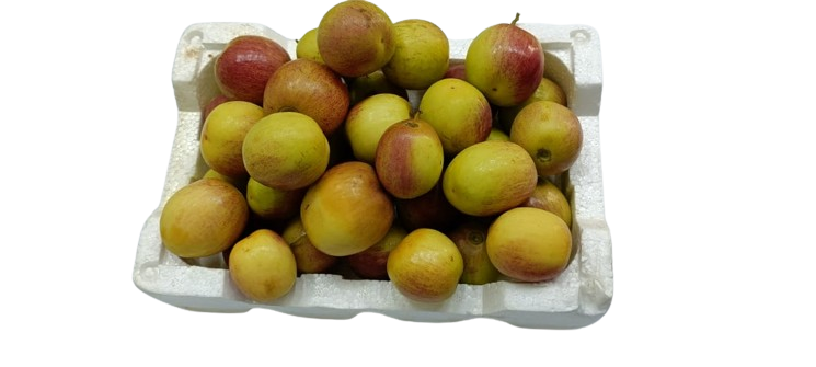 صورة المنتج