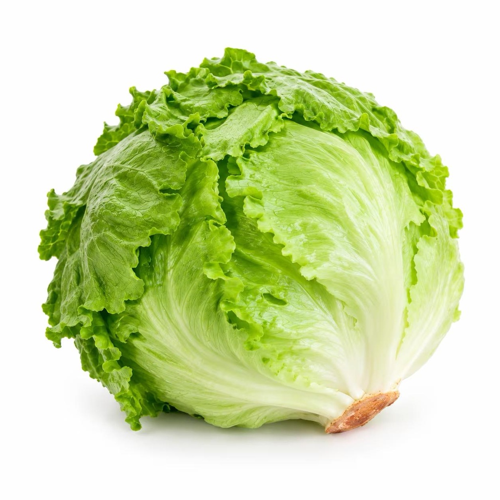 Iceberg Lettuce (Round)