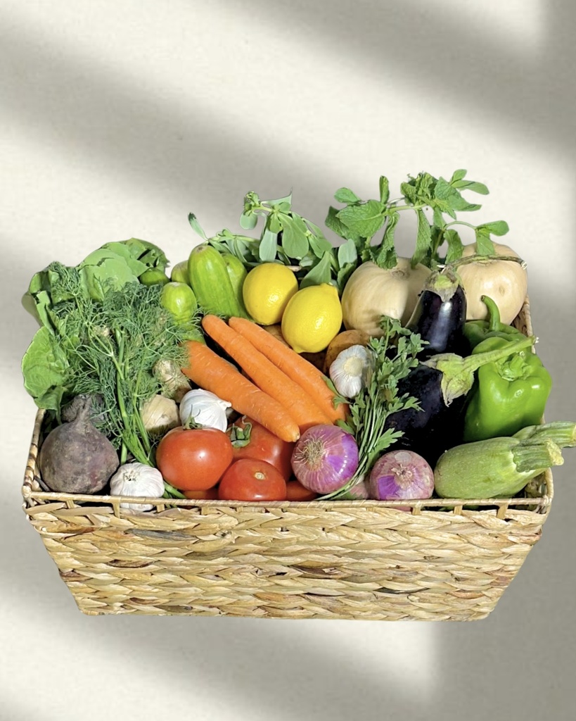 Vegetables Collection (Savings)