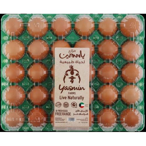Yasmin Farms Eggs Free Range Brown, 30 Pieces
