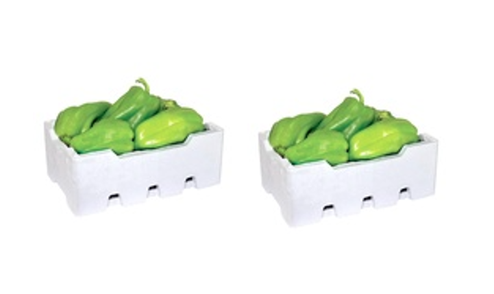Capsicum Green flin 1.500 Kg * 2 Pcs