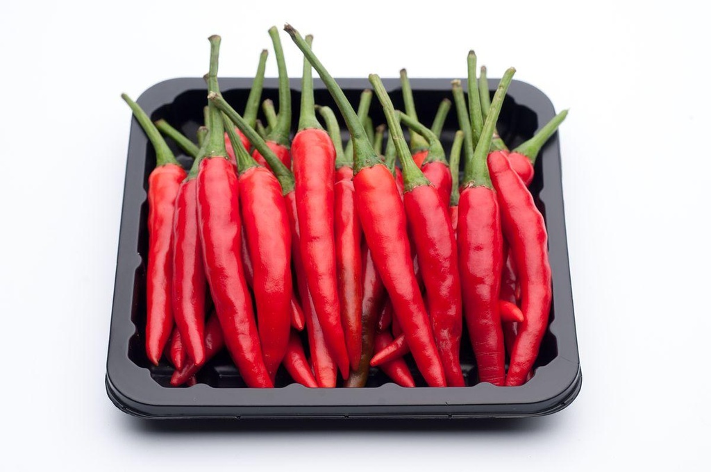 Red Chili Pepper Small