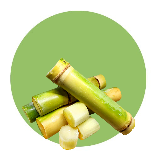 Fruits / Sugar cane