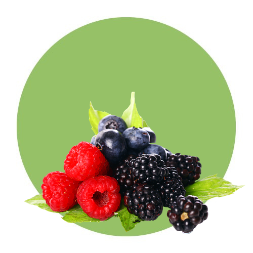 Fruits / Berry