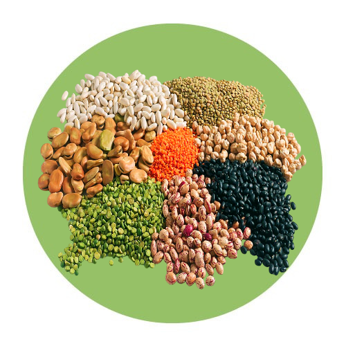 Spices & Grains / Legumes