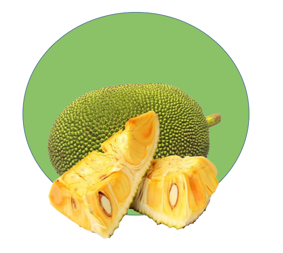 Fruits / Jack Fruit