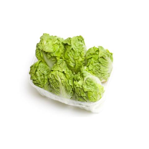 صورة المنتج