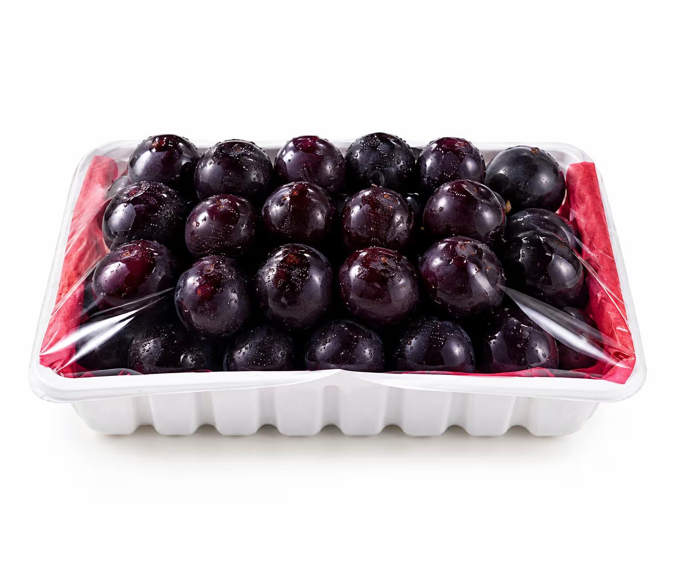 صورة المنتج