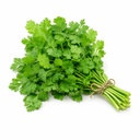 Coriander [Kuwait]