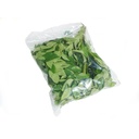 كاري بته (ورق غار) [الهند]