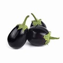 Eggplant [Saudi Arabia]