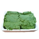 Grape Leaves [Kuwait]