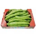 Broad Beans Air Gargo [Lebanon]