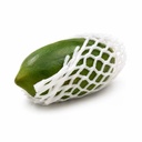 Papaya [India]