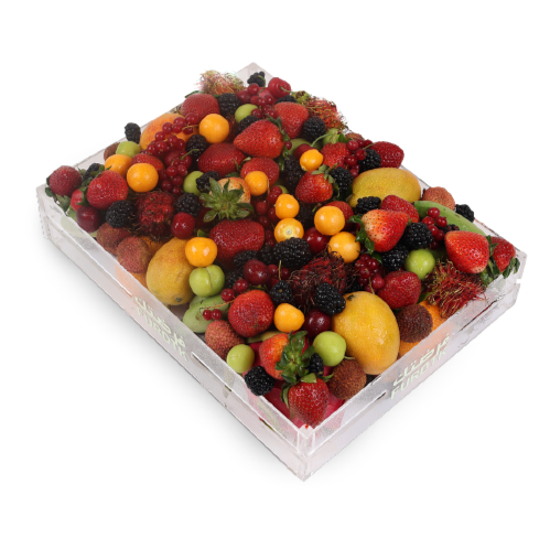 صورة المنتج