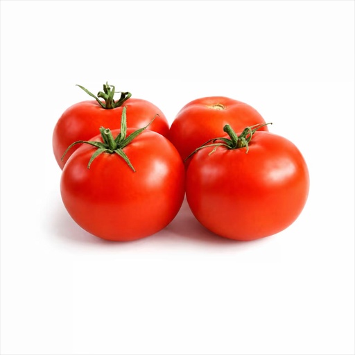 Tomato [Jordan]