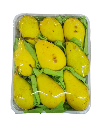 Pear [Lebanon]