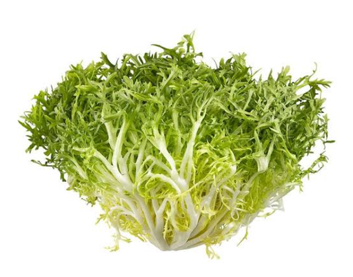 lettuce (Frisee) [Spain]