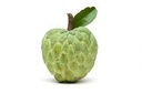 Custard Apple [Spain]