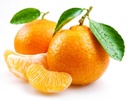 Mandarin [Spain]