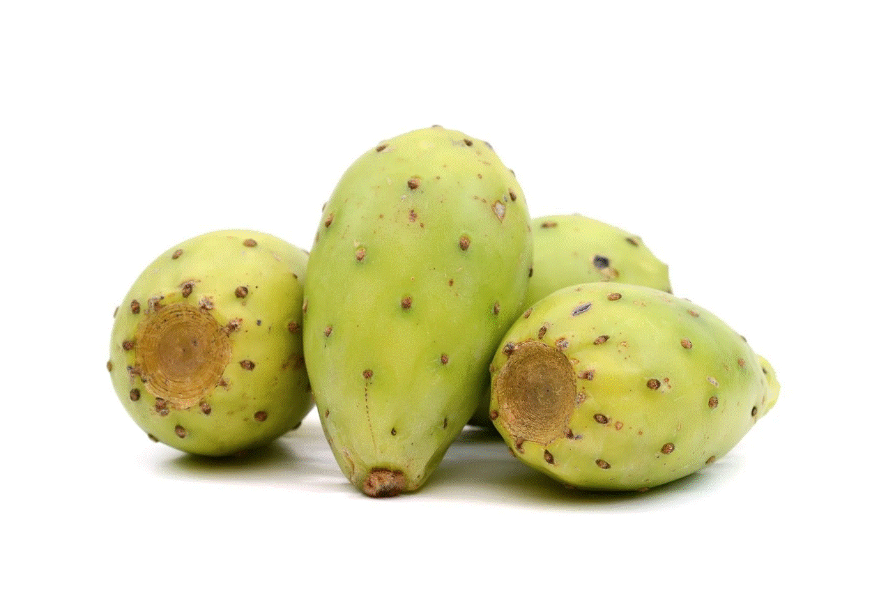 صورة المنتج