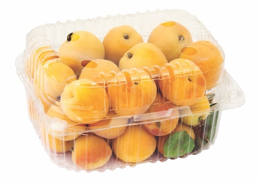 Apricot 500 Gm [Tunisia]