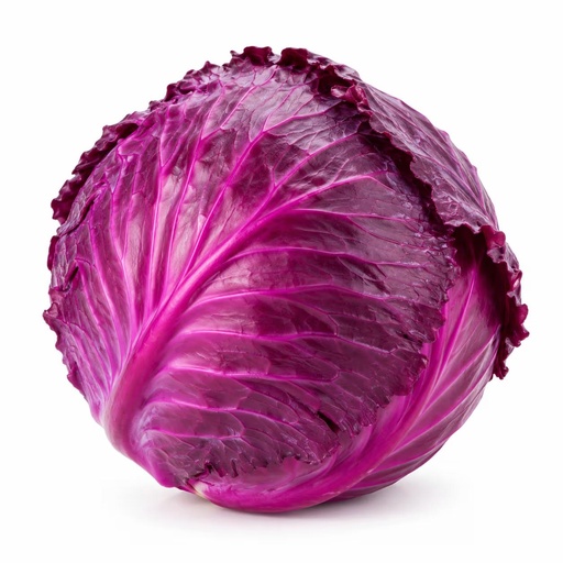 Cabbage Red [Egypt]