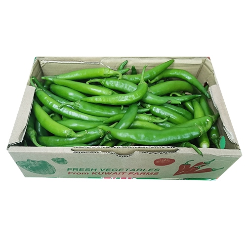 Green Chili Pepper [Kuwait]