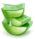 Aloe Vera [Kuwait]