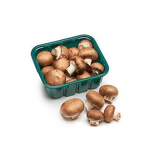 Brown Mushroom [Saudi Arabia]