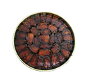 Maknooz Sagai Jumbo Dates – 2 kg 