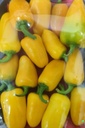 Yellow Jalapeno Chili Peppers [Kuwait]