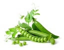 Green Peas [Kuwait]