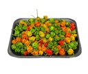 Mini Mix Chili Habanero 