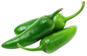 Green Jalapeno Chili Peppers [Holland]