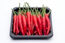 Red Chili Pepper Small [Vietnam]