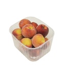 Peach [Egypt]