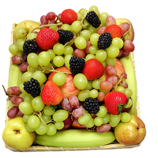Sara Basket 