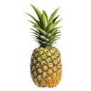 Sweet Pineapple [Panama]