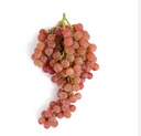 Red Grapes Baby [South Africa] [7381]
